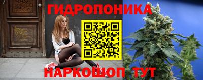 ГАЛЛЮЦИНОГЕННЫЕ ГРИБЫ Тулун