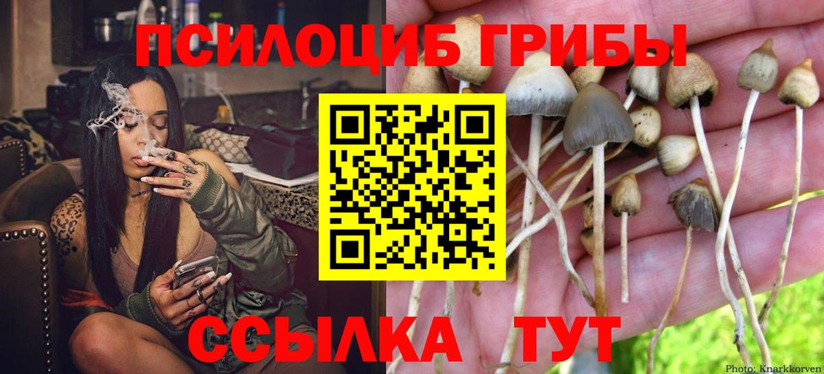 Галлюциногенные грибы Psilocybine cubensis  закладки  Амурск  Вход с VPN 