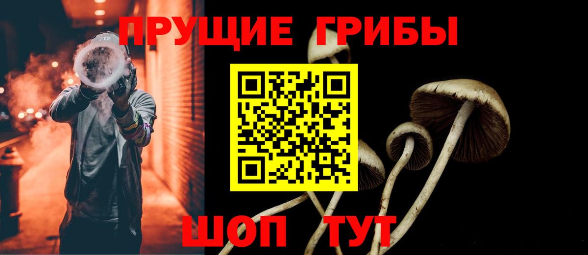 Галлюциногенные грибы Cubensis Амурск